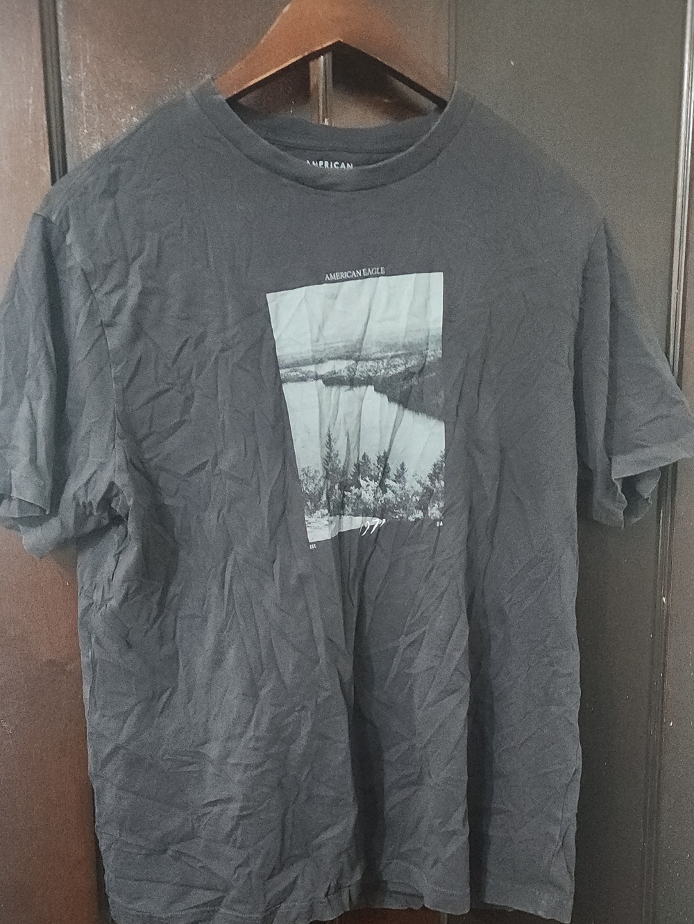American Eagle Outfitters Dark Gray Graphic Short-Sleeve Tee